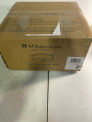 Millennium Lighting 214102-MG Laphia 2 Light 14" Wide Flush Mount Drum Ceiling Fixture - Modern Gold
