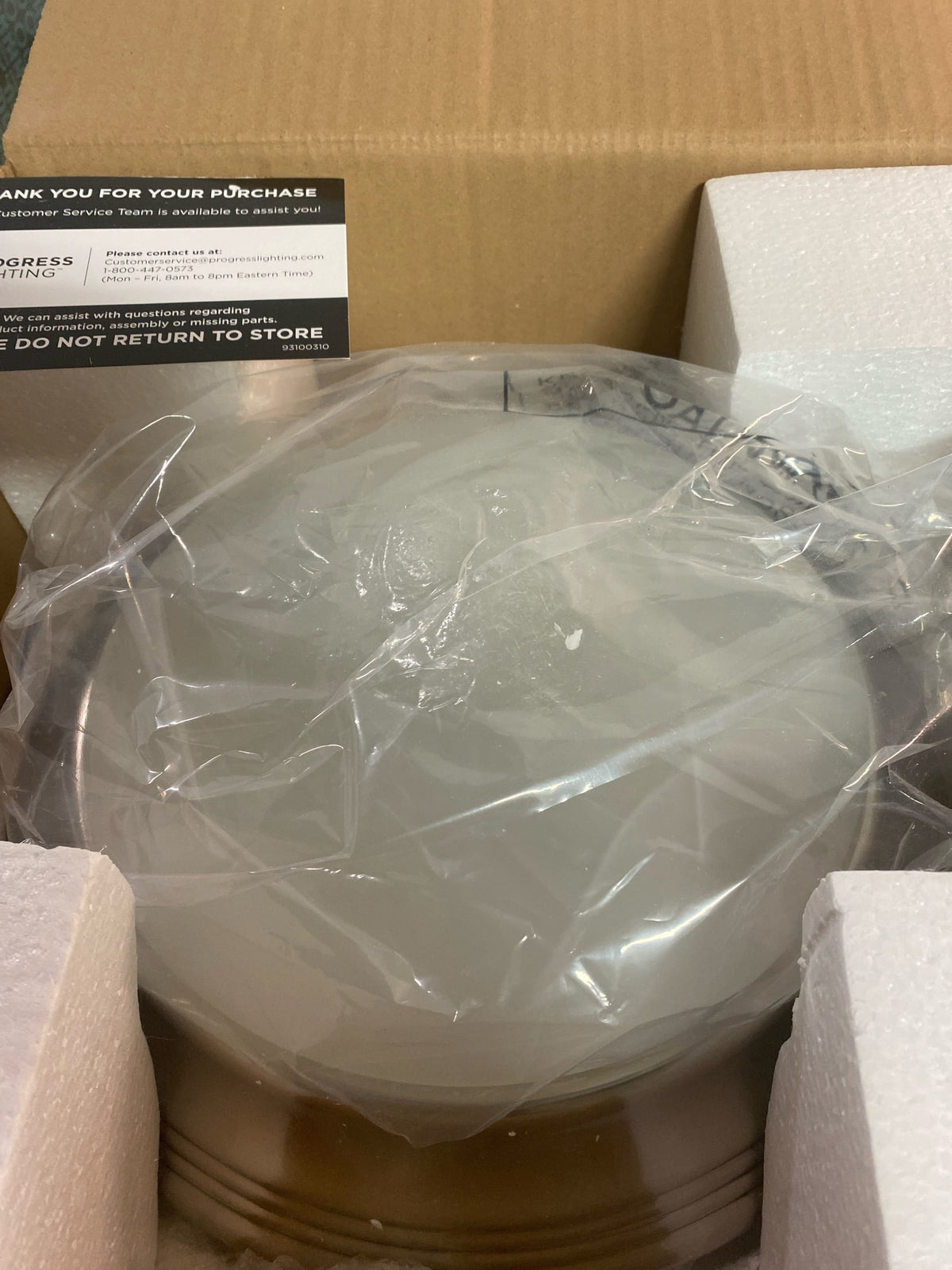 Progress Lighting P3688-09 1 Light Flush Mount Ceiling Fixture with Etched Alabaster Glass Shade - 12" Wide - Brushed Nickel