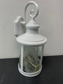 Globe electric 44537 Norman 1-Light White Outdoor Indoor Wall Lantern Sconce with Clear Seeded Glass Shade and Incandescent Bulb Included