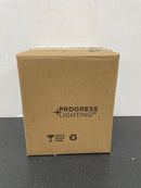 Progress Lighting P5202-31 PAR Lampholder Series Single-Light Adjustable Swivel Aluminum Flood Light with Shade - Black