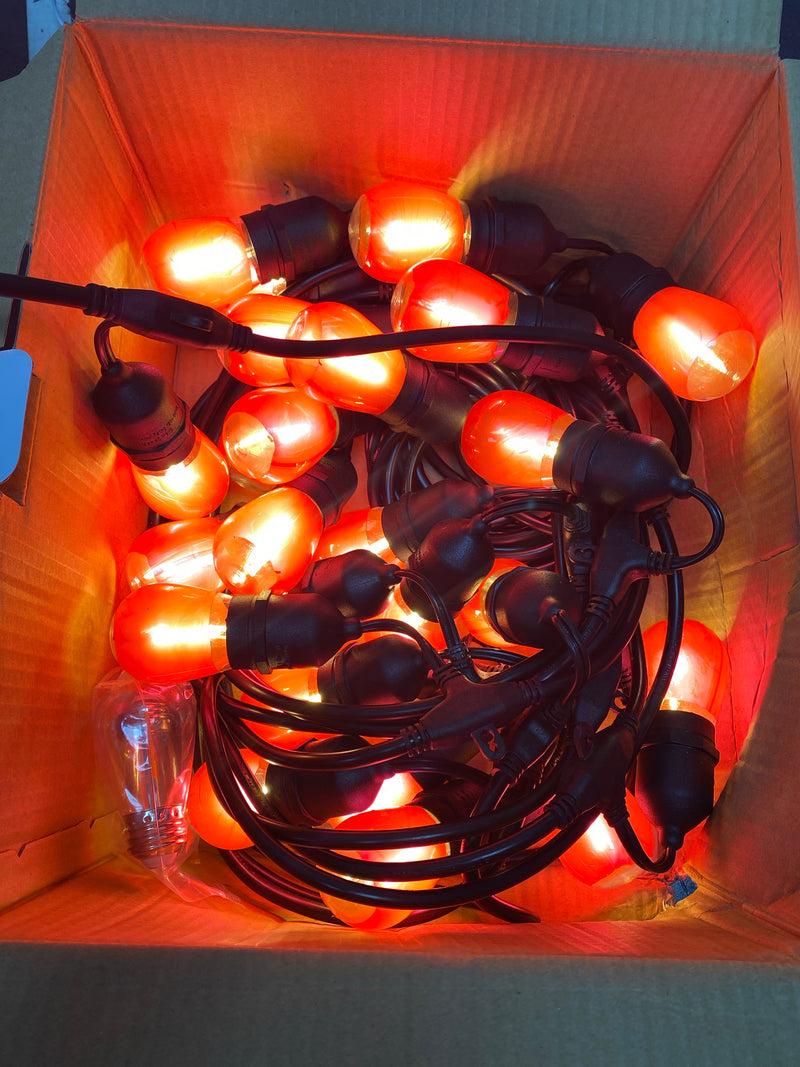 Hampton Bay Outdoor/Indoor 48 Ft. Plug-in Edison Bulb String Light