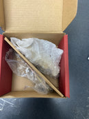 Pfister HHL-016VRVBG Tub and Shower Faucets and Accessories, Brushed Gold