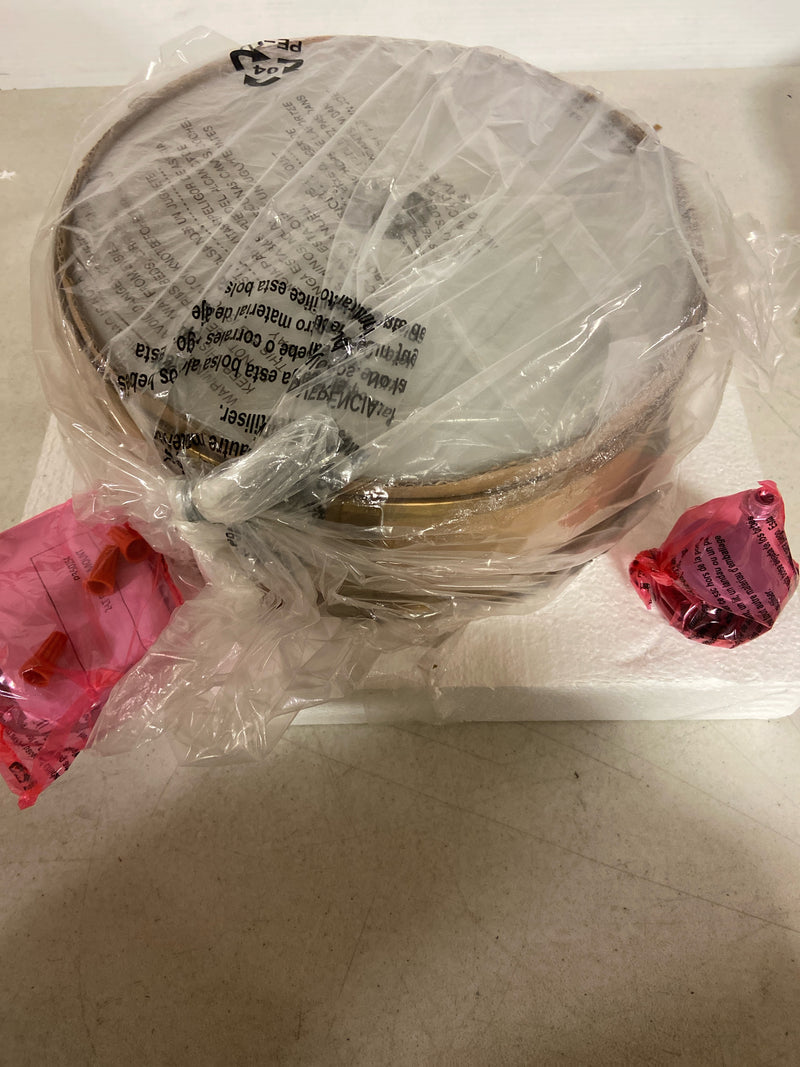 Progress lighting P350254-163 Gilliam 12-5/8 in. 2-Light Vintage Brass Flush Mount with Etched Opal Glass Shade