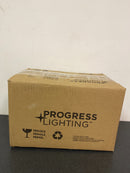 Progress lighting Replay Collection 1-Light Brushed Nickel Etched White Glass Modern Bath Vanity Light