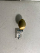 Signature Hardware 441612 Rennes Oval Cabinet Knob - Satin Brass