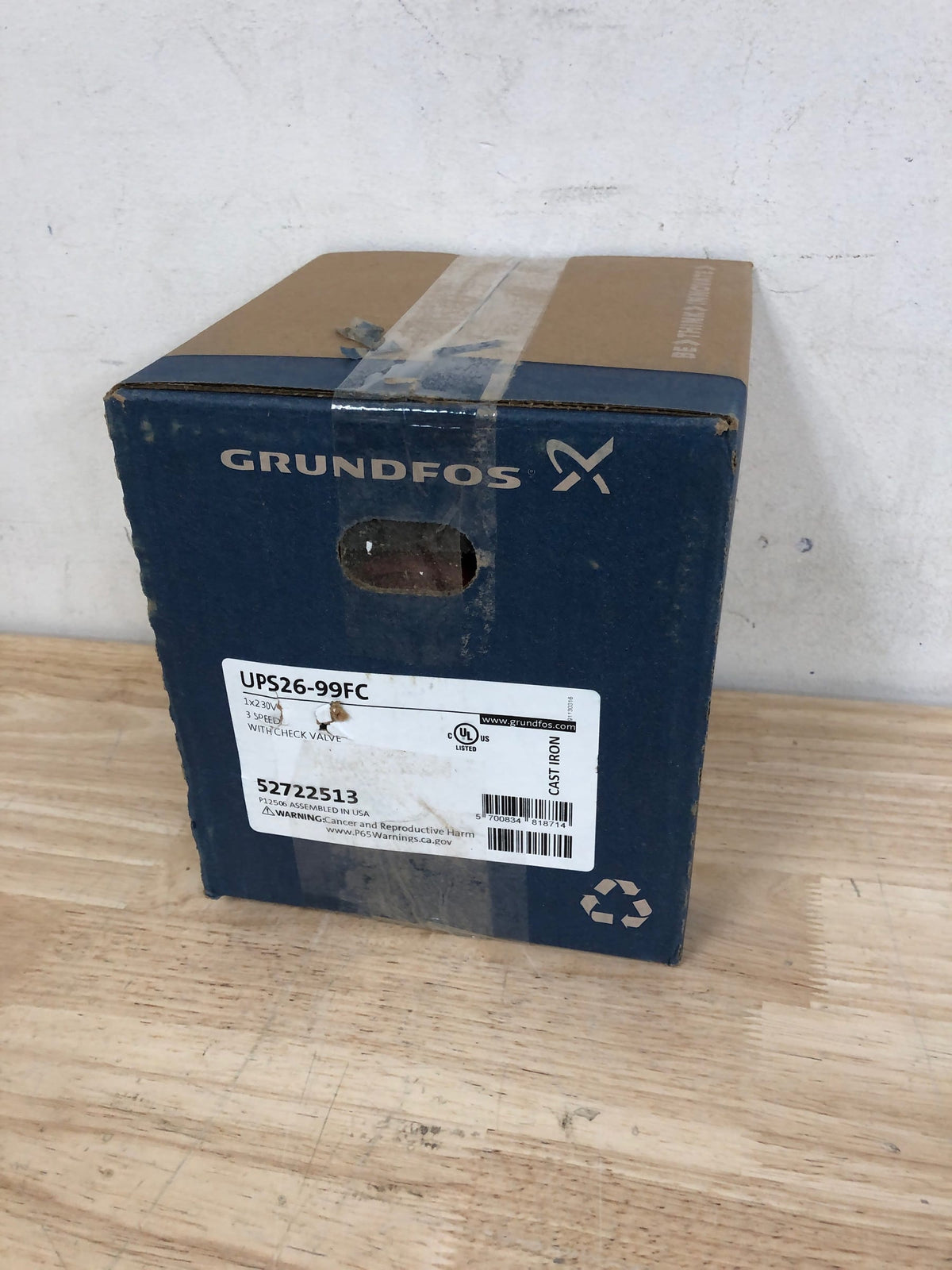 Grundfos G52722513 UPS 2699 FC Canned Rotor Pump with a Max Power Input of 196W and Cast Iron Construction - N/A