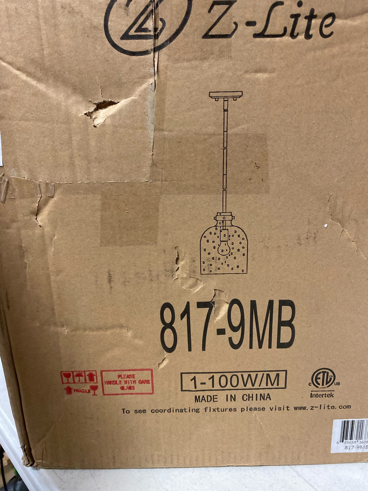 Z-Lite 1 Light Pendant