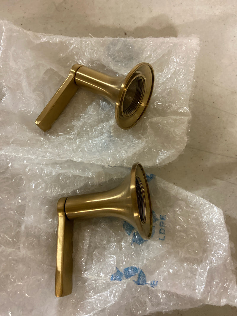 Signature Hardware SHLZPBLEVBG Lentz LEV HDL F/ P/BAL TRIM - Brushed Gold