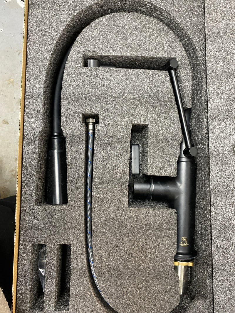 Elegant Lighting FAK-304 Leonardo 1.8 GPM 1 Hole Pull Down - Black