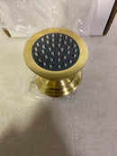 Newport Brass 2170-10B Solid Brass Body Spray with Adjustable Spray Angle and Rubber Spray Jets - Oil Rubbed Bronze