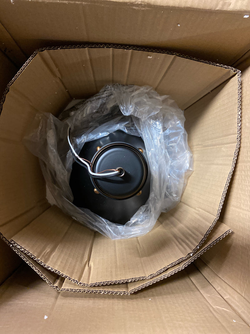 Hinkley Oliver Hanging Medium Pendant - Traditional, Tapered Etched Opal Glass Globe, Adjustable Height - Black with Heritage Brass Accents