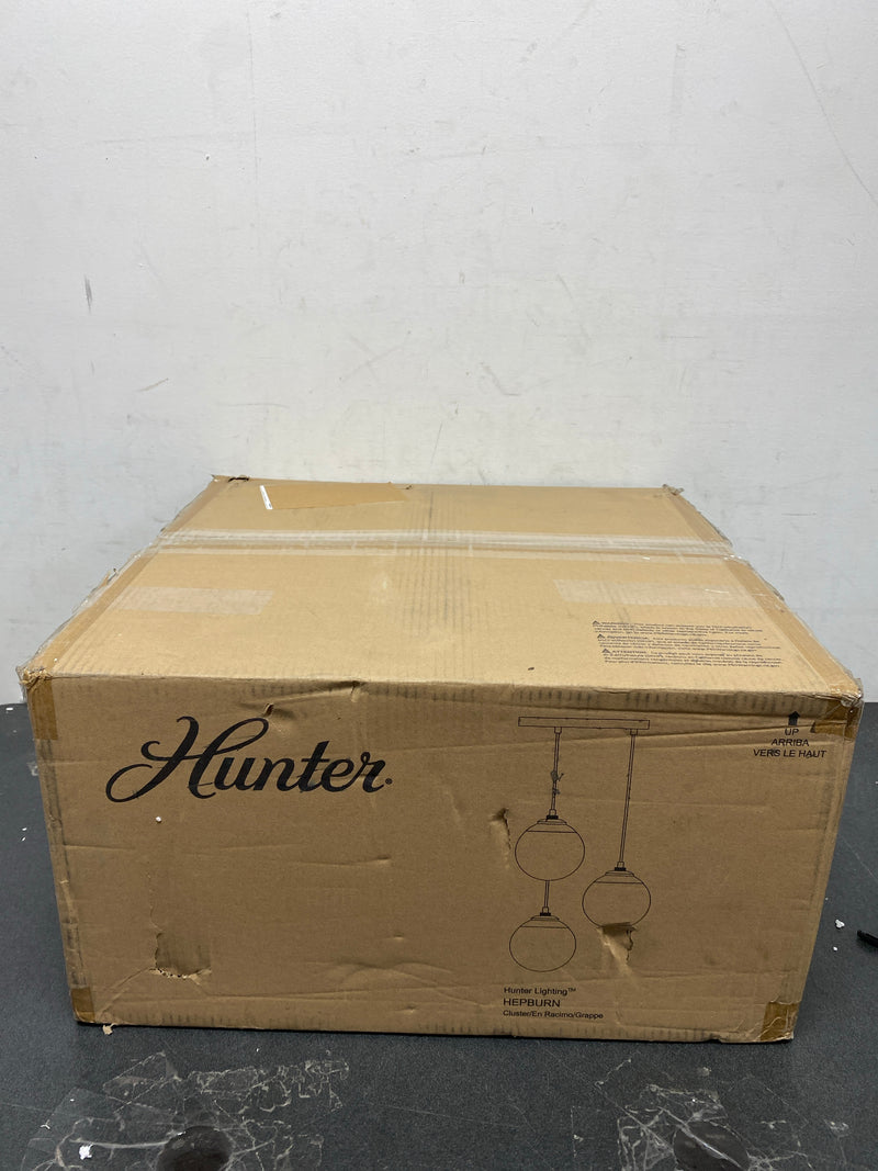 Hunter 19514 Hepburn 3 Light 13" Wide Multi Light Pendant with Shades - Painted Modern Brass