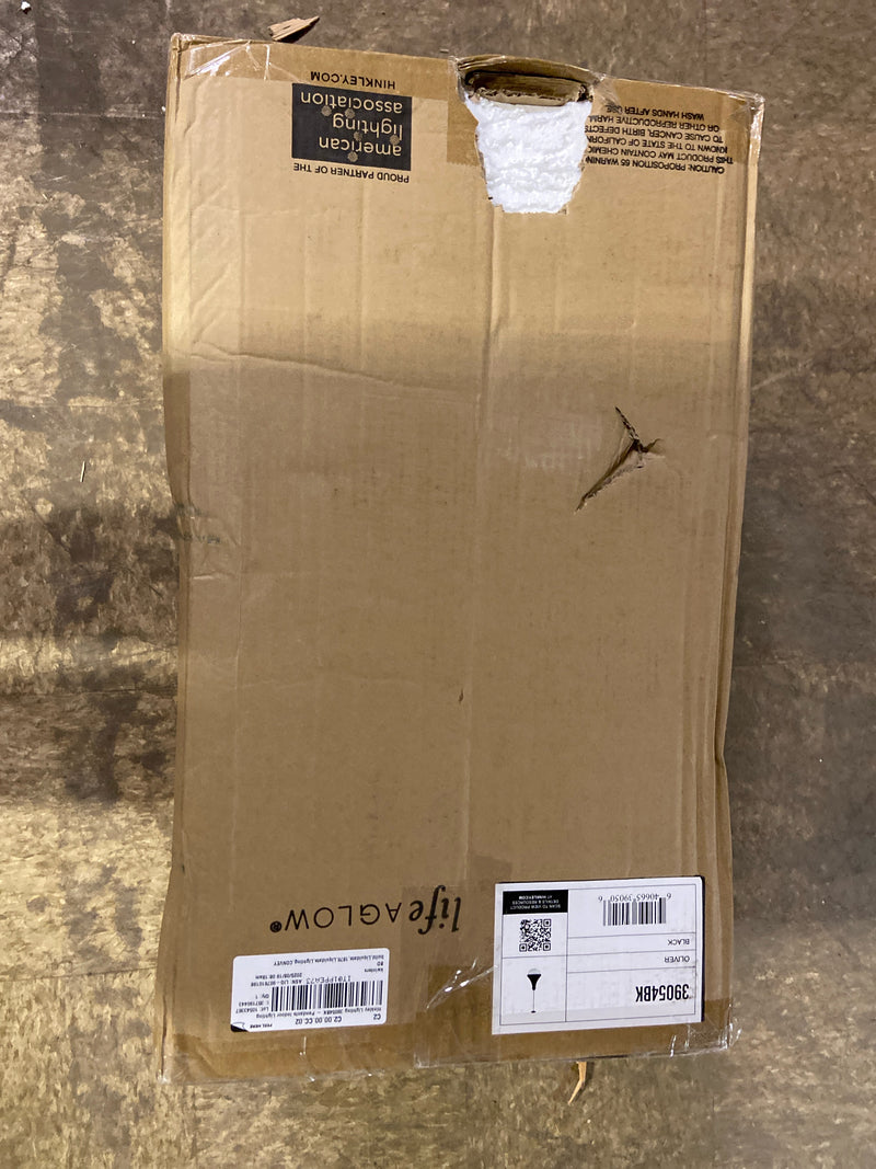 Hinkley Oliver Hanging Medium Pendant - Traditional, Tapered Etched Opal Glass Globe, Adjustable Height - Black with Heritage Brass Accents