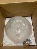 Craftmade Gaze 14" Clear Glass 1 Light Pendant with Cord, Satin Brass, 56893-SB