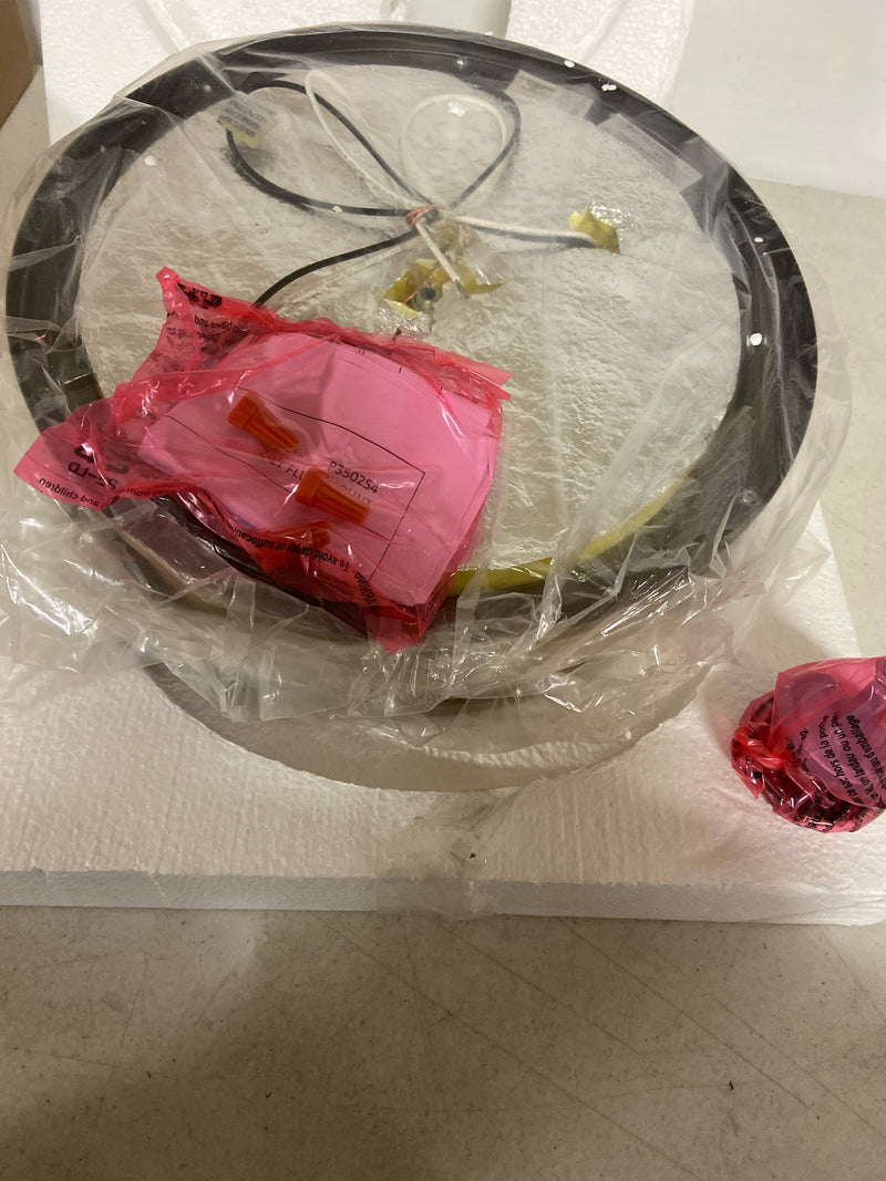 Progress lighting P350254-163 Gilliam 12-5/8 in. 2-Light Vintage Brass Flush Mount with Etched Opal Glass Shade