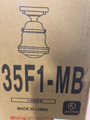 Z-Lite 735F1-MB Vaughn Flush Mount, 1-Light 60 Watts, Matte Black