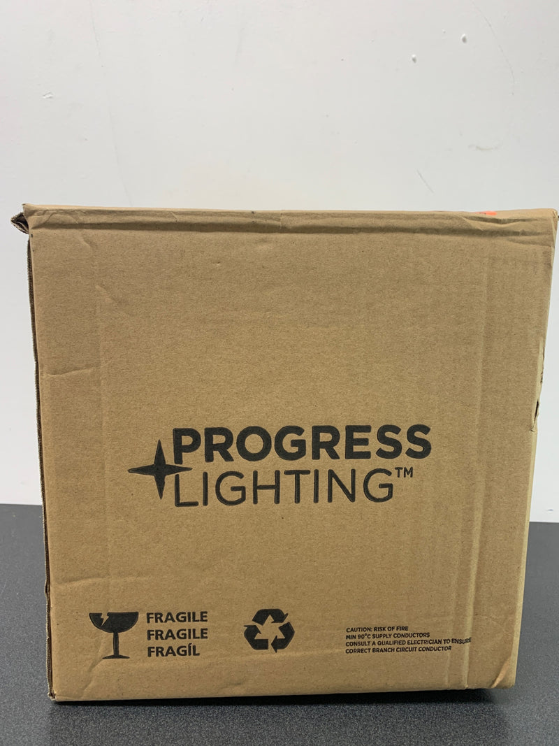 Progress Lighting P500041-143 Briarwood Single Light 10" Wide Pendant - Graphite