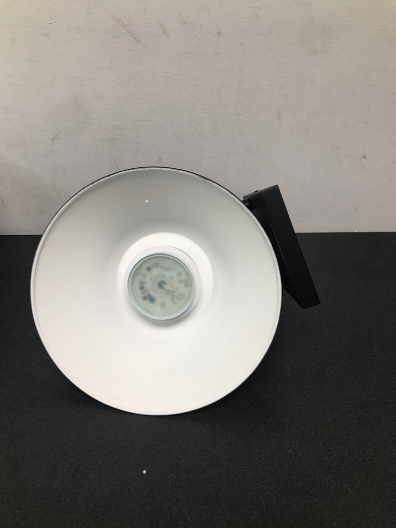 Access lighting 20131LEDDMG-BL 1-Light Black LED Outdoor Wall Lantern Sconce (1-Pack)